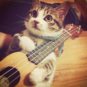 贞德漫画汉化版官方入口
